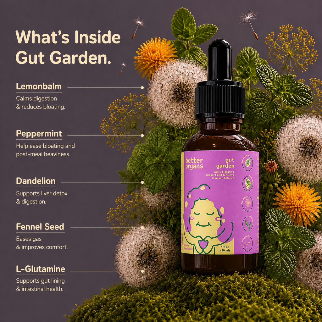 Gut Garden digestive support liquid supplement with peppermint, lemon balm, dandelion, fennel seed, and L-glutamine