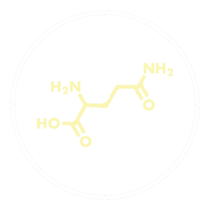 L-Glutamine