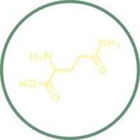 L-Glutamine