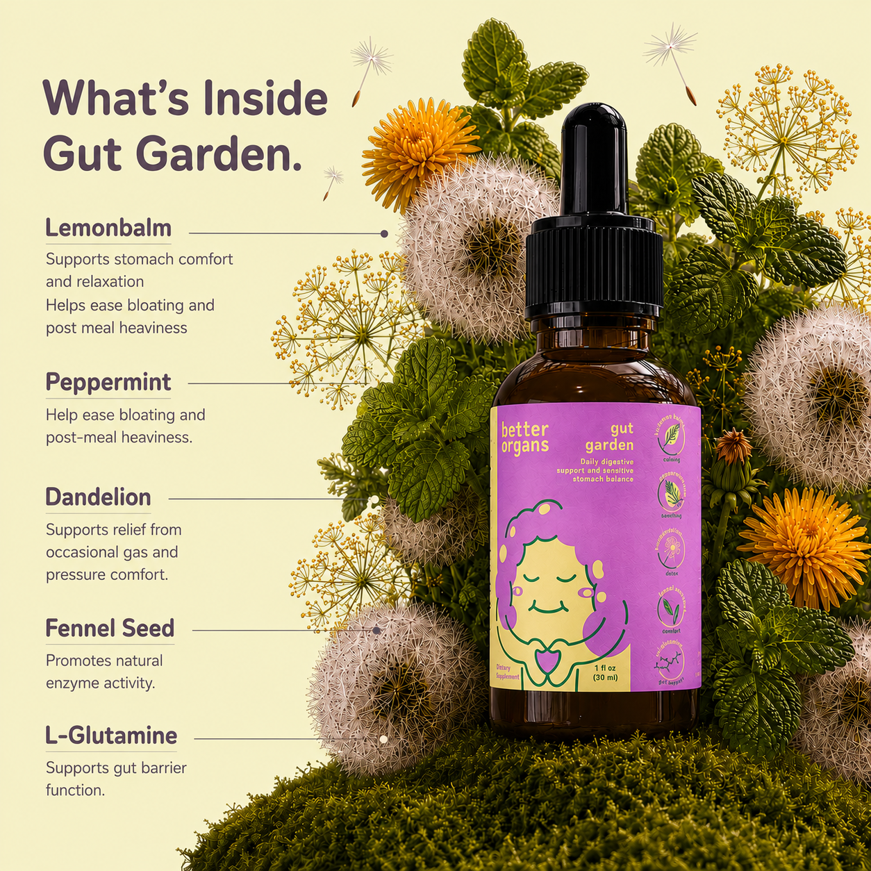 An amber glass dropper bottle labeled 'better organs gut garden' with a purple label, surrounded by illustrated botanical elements and text listing ingredients: lemonbalm, peppermint, dandelion, fennel seed, and L-glutamine.