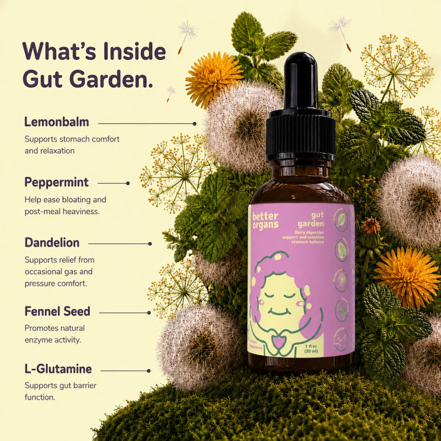 Gut Garden – Daily Liquid Digestive Support