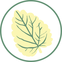Lemon Balm
