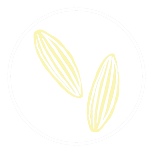 Fennel Seed